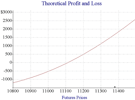 Theoretical Profit and Loss 