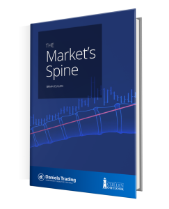 The Market's Spine by Brian Cullen Cover