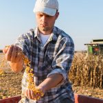 Harvest Time: How to Leverage This Season’s Corn Futures