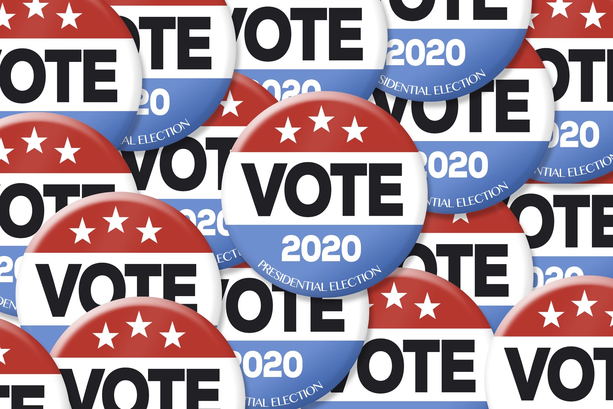 Image result for 2020 vote images