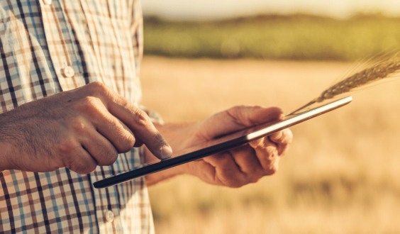 Risk Management 101: What Is Hedging?